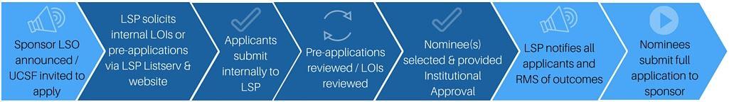 LSP Process and timeline graphic example